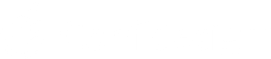 Developer